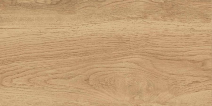 GT220VG Керамогранит Florida_GT Беж. 30x60 1\58,32