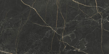 60x120 MarbleSystem Порт Лорен Лаппато R9 Ректификат