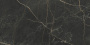 60x120 MarbleSystem Порт Лорен Лаппато R9 Ректификат