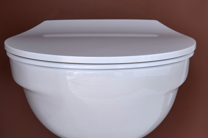 Чаша подвесного унитаза Jacob Delafon Patio E4187, шт