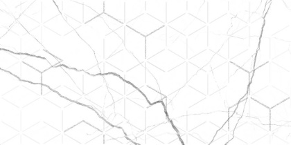 GT124VG Декор кер. Siluet GT Бел. 50*25 _ 1 \7