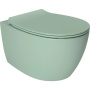 Чаша подвесного унитаза Allen Brau Fantasy 4.11004.MT мятный