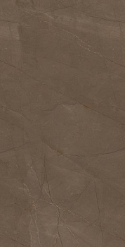 Плитка Pulpis Brown W M 31x61 NR Glossy 1 Плитка Pulpis Brown W M 31x61 NR Glossy 1
