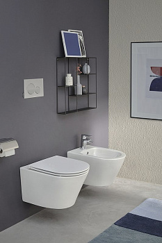 Биде EMJ0002-00 Jacob Delafon Rodin+ белый подвесное, шт