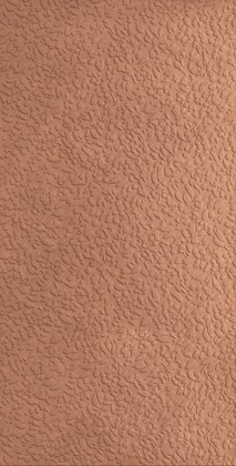 Керамогранит Nisus Coral Rect 60х120