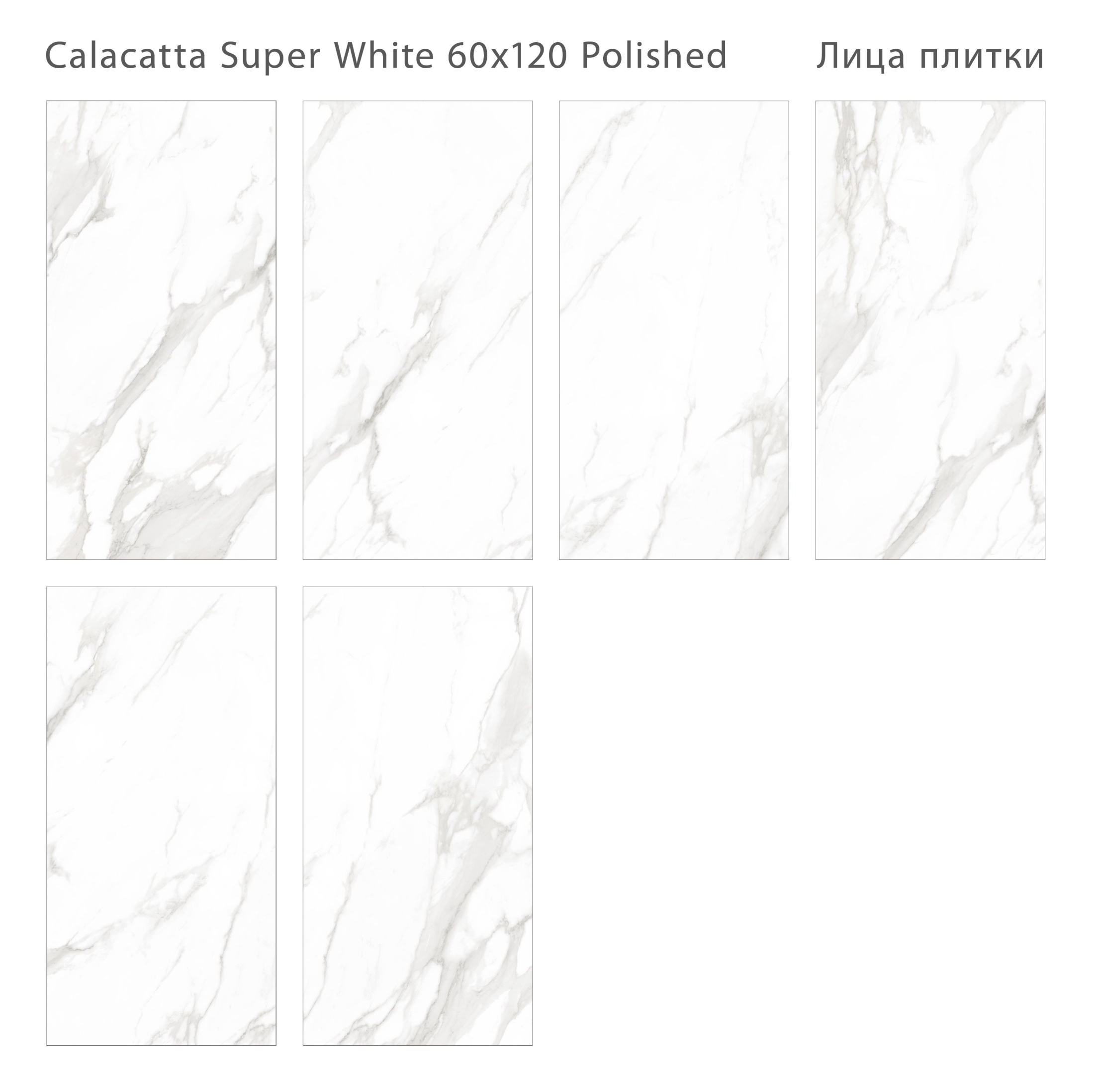 Плитка Calacatta Super White 60x120 Polished (2 шт.в уп) Плитка Calacatta Super White 60x120 Polished (2 шт.в уп)