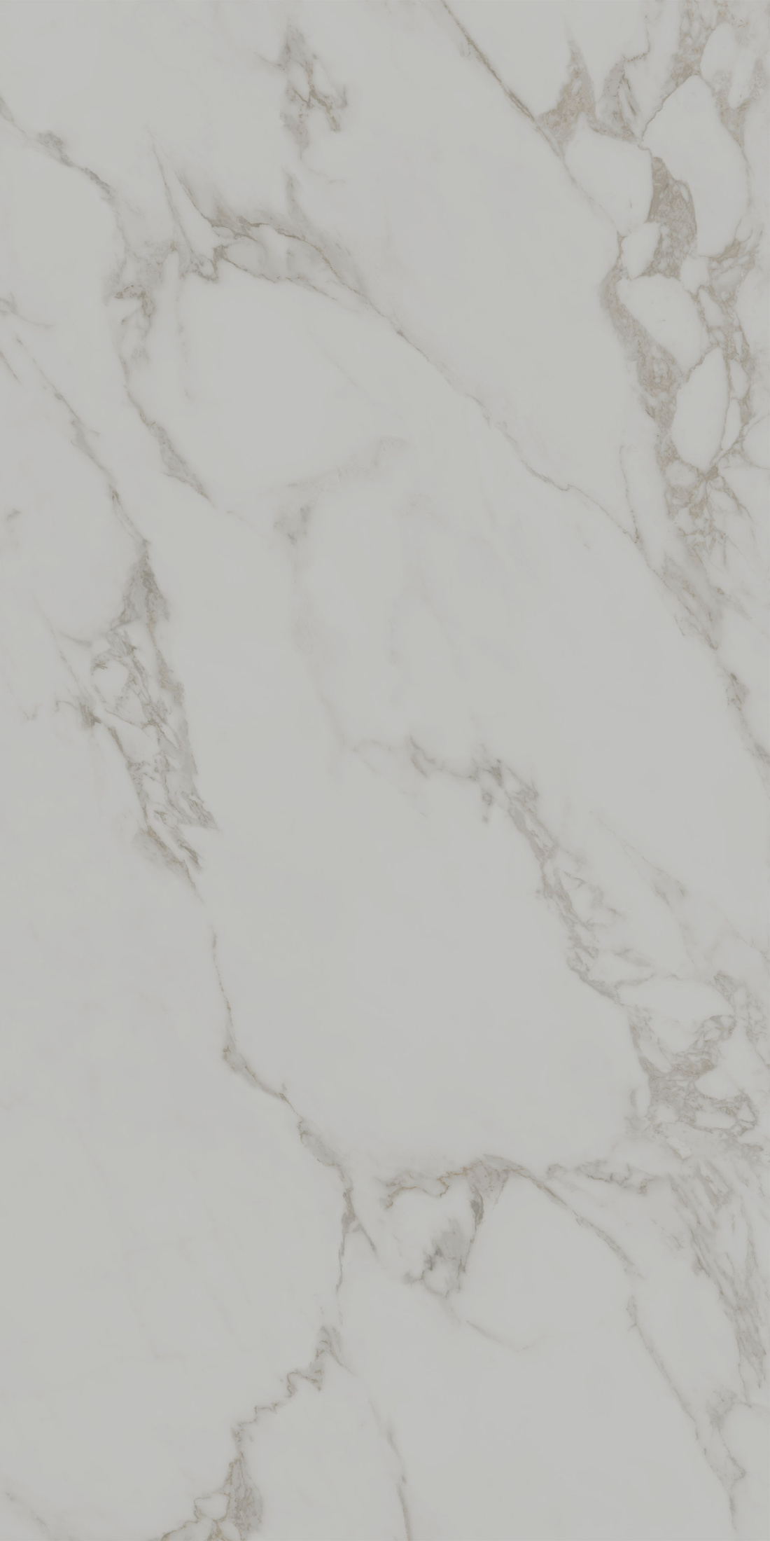 Монте Тиберио серый светлый матовый обрезной 80x160x0,9