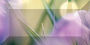 Crocus Бордюр рельефный br1020D286-1 20х10 Crocus Бордюр рельефный br1020D286-1 20х10