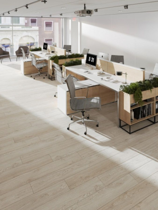 Ламинат Egger 10/33 Classic WV4 Дуб Азгил Светлый