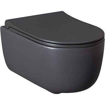 Чаша подвесного унитаза Allen Brau Priority 4.31002.AN антрацит