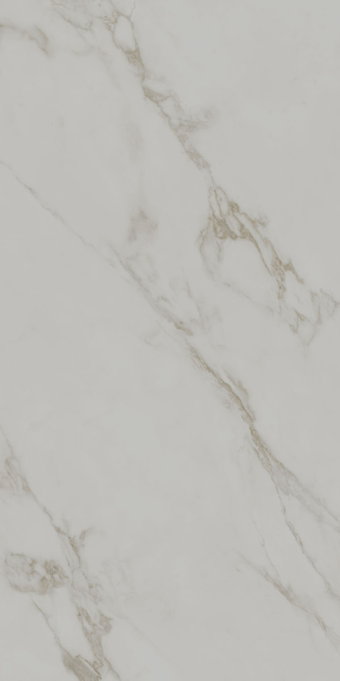 Монте Тиберио серый светлый матовый обрезной 60x119,5x0,9