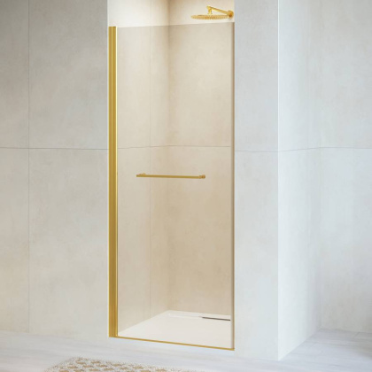 Душевая дверь RGW PA-103Gb, RGW 020810309-16