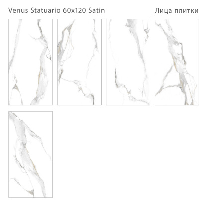 Плитка Venus Statuario Satin 60x120 (2 шт.в уп) Плитка Venus Statuario Satin 60x120 (2 шт.в уп)