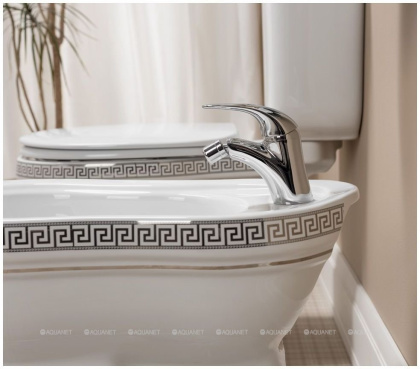 Смеситель для биде Aquanet Cobra SD90364