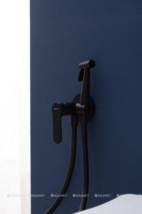 Смеситель с гигиеническим душем Aquanet Passion AF300-52B (с внутренней частью) Смеситель с гигиеническим душем Aquanet Passion AF300-52B (с внутренней частью)