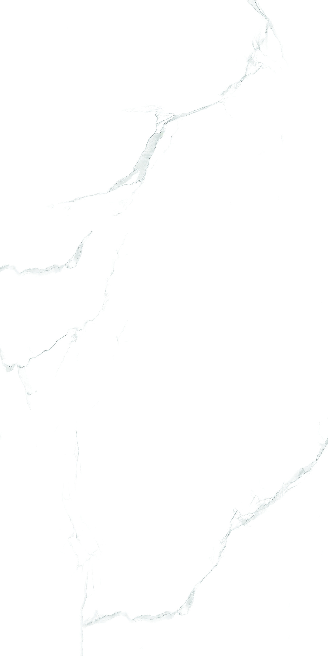 Керамогранит 600x1200 SILVER SATUARIO