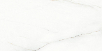 Voyage Blanco Керамогранит белый SG50002320R 60х119,5 матовый