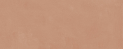 Каннареджо оранжевый матовый 20x50x0,8