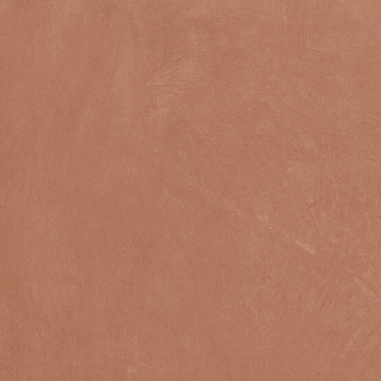 Керамогранит Argillae Coral Rect 60х60 MP000024794