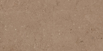 Керамогранит NP03 30,6x60,9x8 Непол.