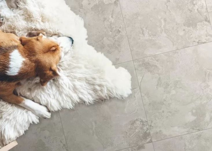 GT134VGNG Плитка грес глаз. Levenburg GT Бежевый 41,2*41,2 _ 1 \81,6