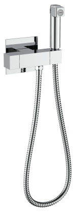 Смесители Raglo с гигиеническим душем встраиваемый с термостатом R24.56