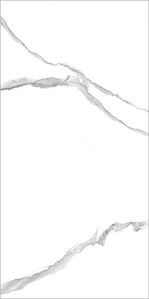 PGT 2196 Плитка грес глаз. Anima NB_GT Бел. 60*120 Полир._ 1 \40,32