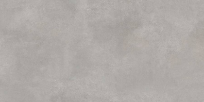 Concrete Courage Grey Керамогранит серый 60х120 Матовый