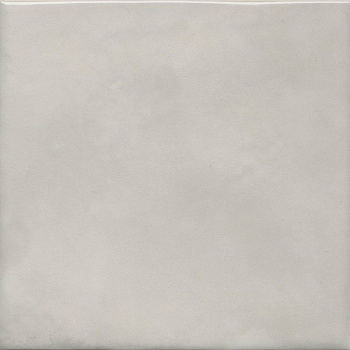 Адриатика серый глянцевый 20x20x0,69