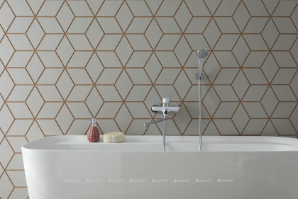 Акриловая ванна Aquanet Family Fine 170x78 95778 Matt Finish