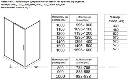 Душевая дверь Aquanet Pleasure Evo 100 AE65-N100-GBT профиль золото-никель браш, прозрачное стекло