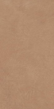 Керамогранит Anti-Slip Argillae Gobi Rect 60х120