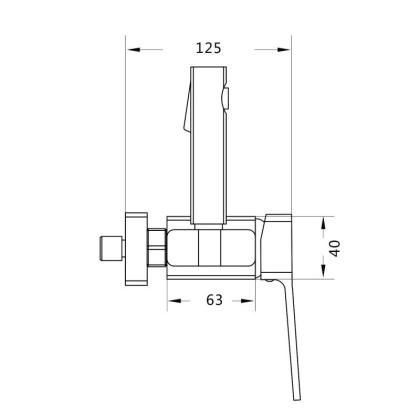 Смеситель с гигиеническим душем Shevanik S99G S9905G-1 Смеситель с гигиеническим душем Shevanik S99G S9905G-1