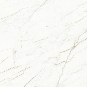 Europa Gold l Керамогранит белый 60x60 Матовый Карвинг