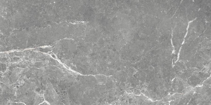 GT99VG Плитка облиц. Capella GT Сер. 50*25 _ 1 \74,25