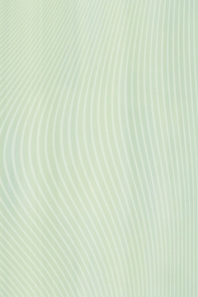 Schunter 8251 Смеситель для душа