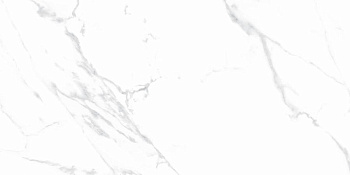 Statuario Justice Grey Керамогранит белый 60х120 Матовый