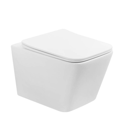 Подвесной унитаз Abber Rechteck AC1201T с микролифтом