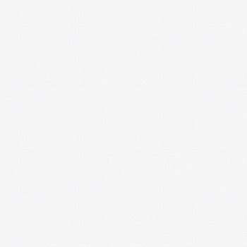 GT40/007 Керамогранит Kakadu_GT Сер. _ 40*40_84,48/1