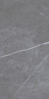 GRS05-05 600х1200 матовый