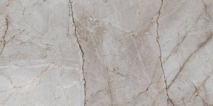 Керамогранит Laparet Silver Root полированный 60х120 (2шт_1,44м2), м2 Керамогранит Laparet Silver Root полированный 60х120 (2шт_1,44м2), м2