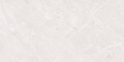 Mramor Princess White Керамогранит светло-серый 60х120 Полированный