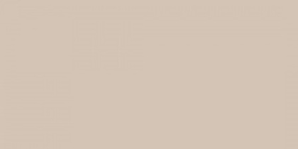 GTF 427 600х1200 матовый