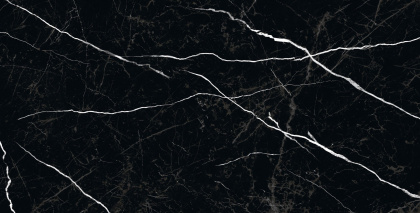 Плитка Nero Marquina 60x120 High Gloss (2 шт.в уп) Плитка Nero Marquina 60x120 High Gloss (2 шт.в уп)