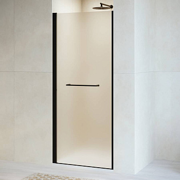 Душевая дверь RGW PA-103B, RGW 020810308-24