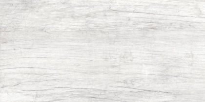 GT223VG Керамогранит Storm_GT светло-сер. 30x60  1\58,32