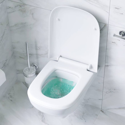 C801700SC Like Унитаз подвесной FlashClean с сиденьем микролифт