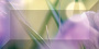 Crocus Бордюр рельефный br1020D286-1 20х10 Crocus Бордюр рельефный br1020D286-1 20х10