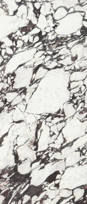 Керамогранит Medicea Marble Honed Rect 120x278