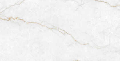 Керамогранит Laparet Torso Gold полированный 60х120 (2шт_1,44м2), м2 Керамогранит Laparet Torso Gold полированный 60х120 (2шт_1,44м2), м2